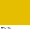 RAL 1003.jpg