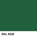 RAL 6029.jpg